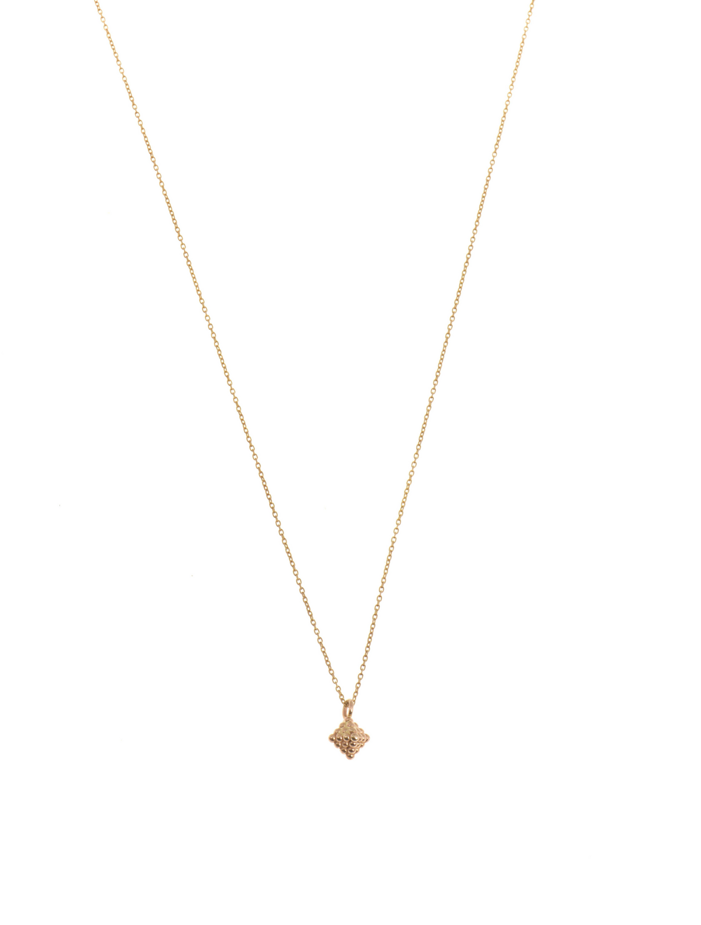 Staphylus Gold Necklace