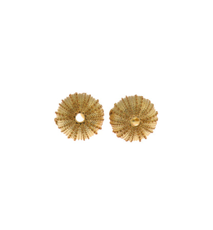 Sea Urchin Earring