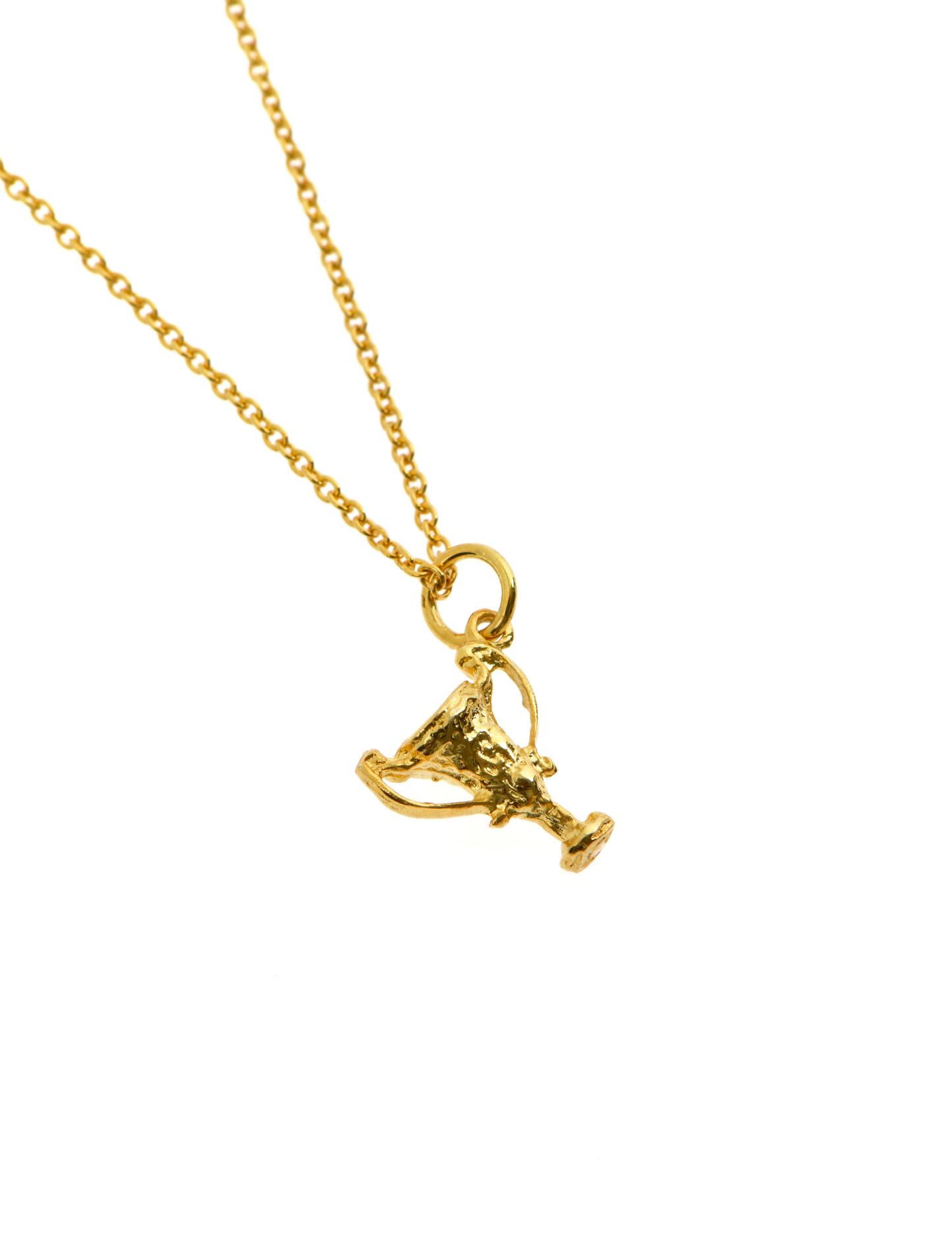 Trophy Necklace